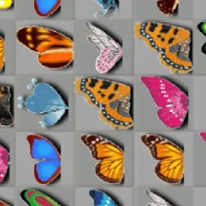 Butterfly Kyodai