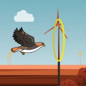 Flying Bird