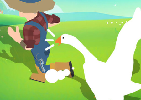 Crazy Goose Simulator