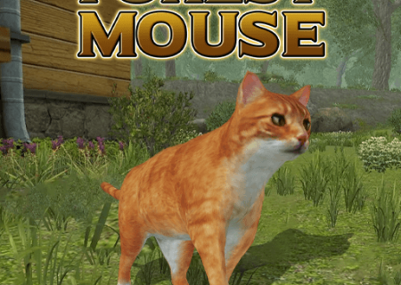 Forest Mouse