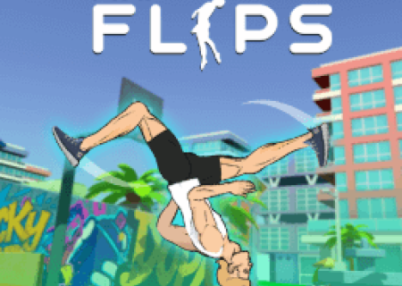 Mr Flip